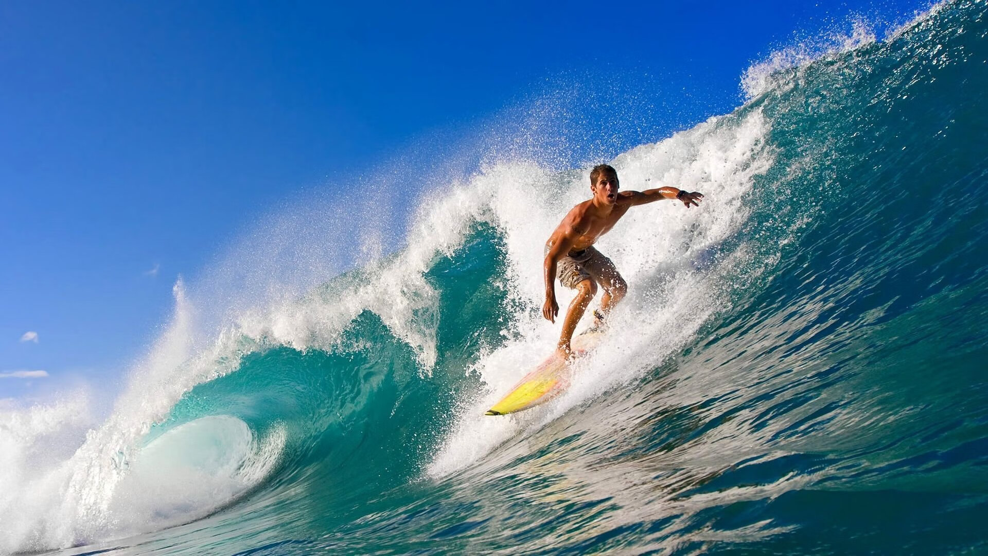 “马丁·高尔西：未来美洲狮队的防守核心”