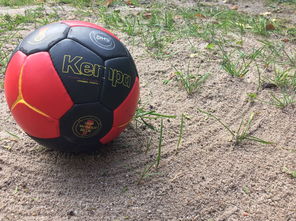 九游社区-安提瓜和巴布达在中美洲锦标赛中夺冠，体育实力不断崛起